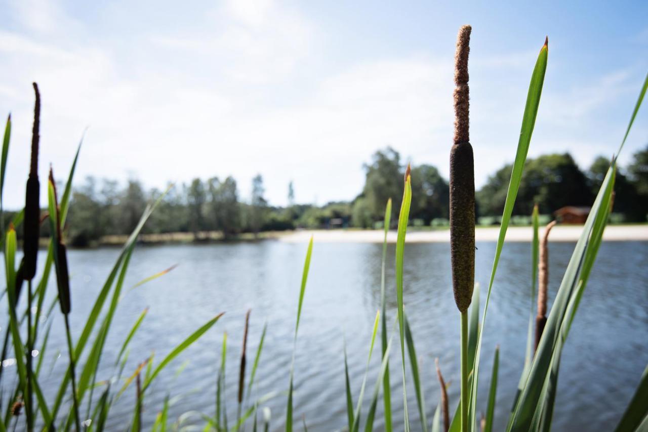 Hotel Ferienparadies Muehlenbach Soltau Zewnętrze zdjęcie