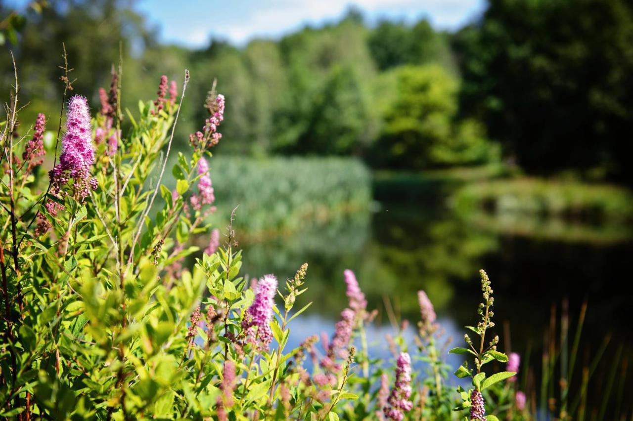 Ferienparadies Muehlenbach Soltau Zewnętrze zdjęcie