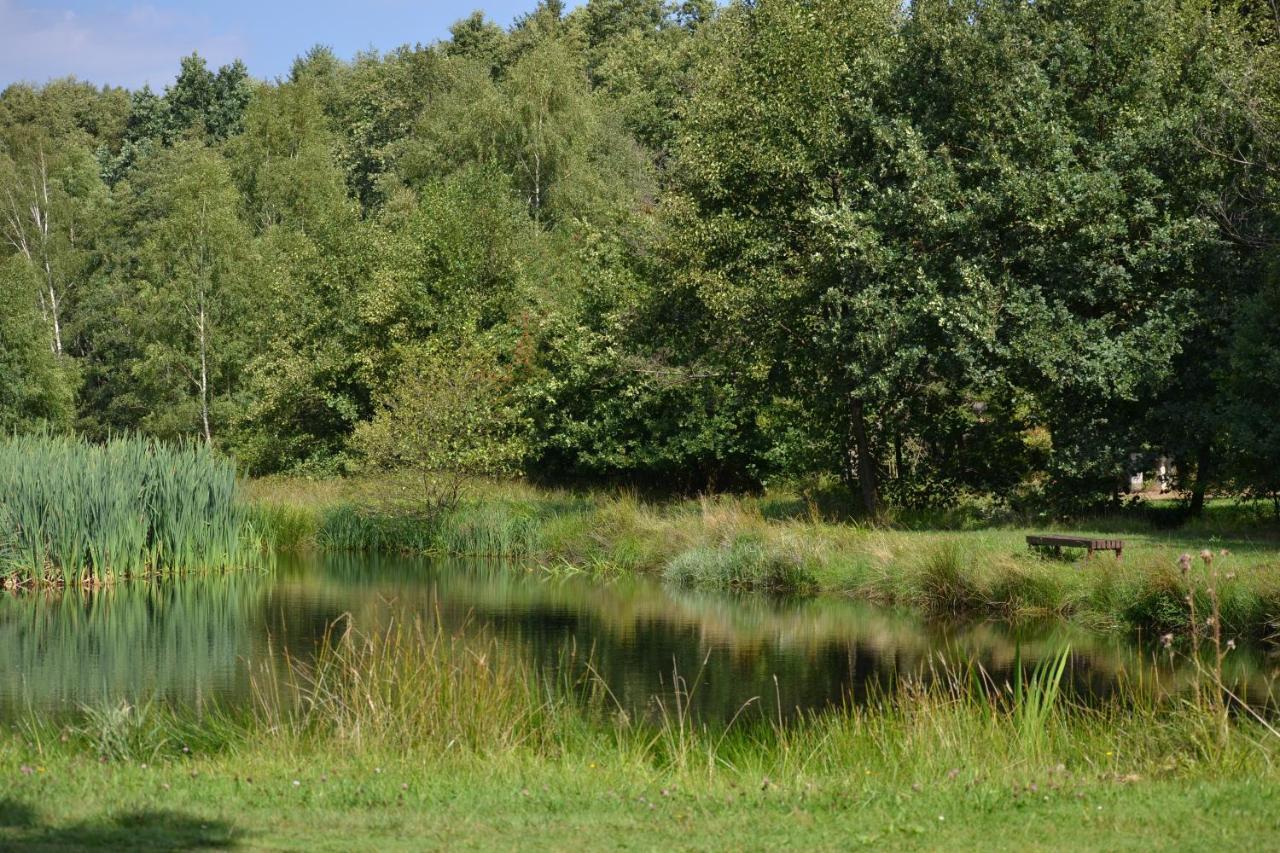 Hotel Ferienparadies Muehlenbach Soltau Zewnętrze zdjęcie